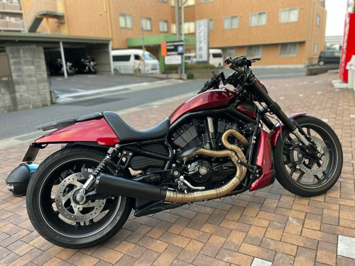 Harley davidson rod muscle - harley,