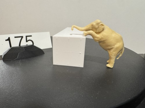 Mek zirkus elefant asi - zirkus,