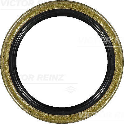 Victor reinz 15999 30 - reinz, 81-15999-30