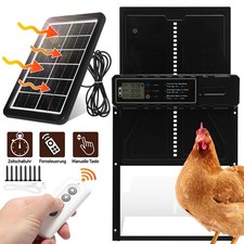 Hühnerklappe Automatische