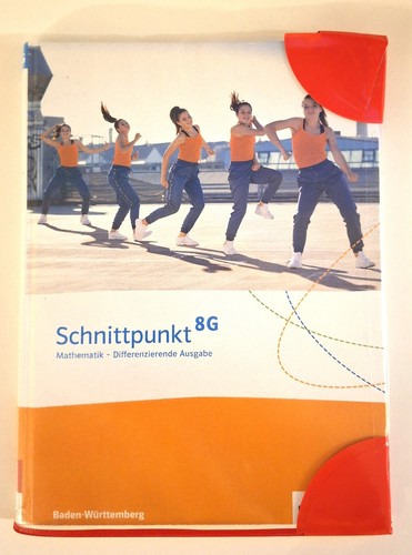 Schnittpunkt mathematik - 8,