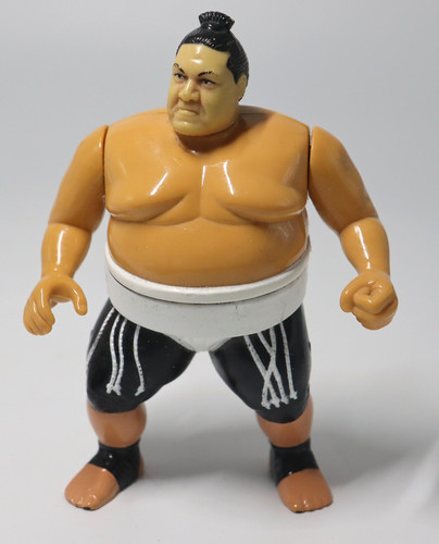 Yokozuna wrestling action - yokozuna,