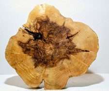 Groß,Baumscheibe,Holzscheibe