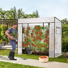 Tomatengewächshaus Groß