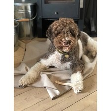 Räumungsverkauf-Luxus