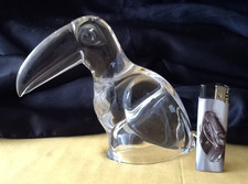 Tukan Vogel Klar große Glas