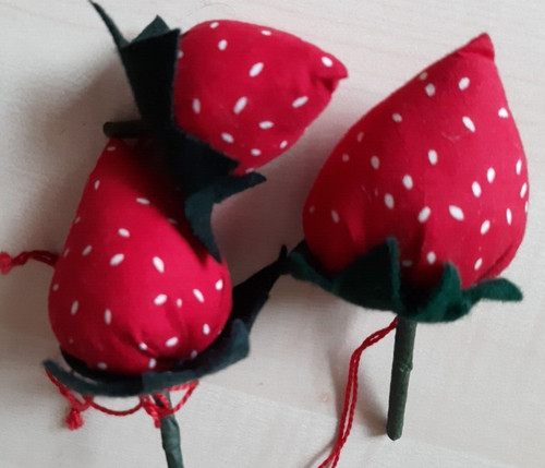 Erdbeeren aus - 3,