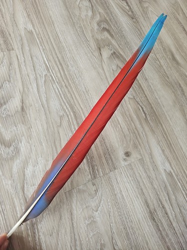 Feder - 53, cm