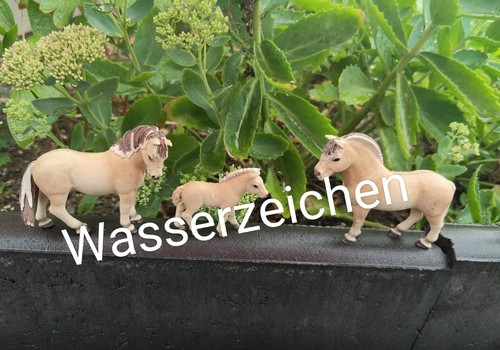 Schleich pferd fjord - schleich,