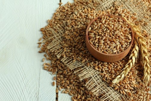 Dinkel ganz körner - kg,