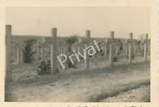 Foto WK II Wehrmacht Soldaten Friedhof bei Verdun Kreuze France K1.28