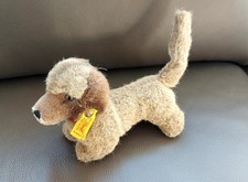 Original Steiff Hund "Dackel" 1A-Zustand 