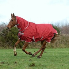 % Bucas Freedom Turnout Light