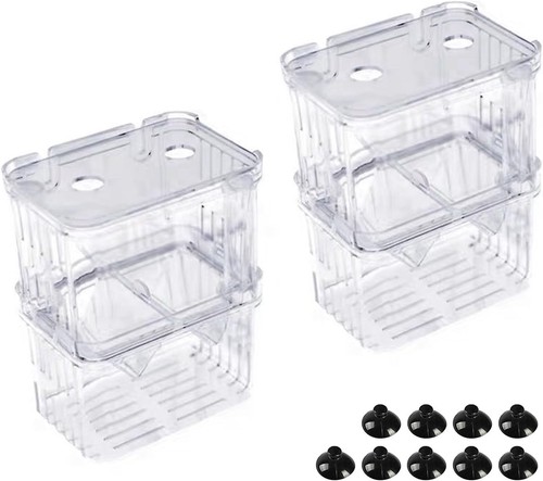 Aquarium zuchtbox stück - aquarium, 2