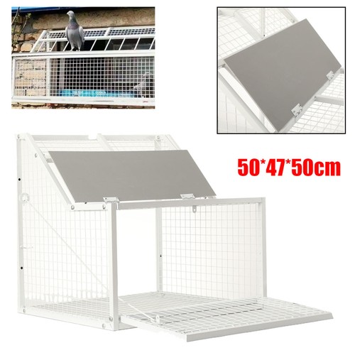 Taubenschlag tür 50cm - taubenschlag, 50*47*50cm