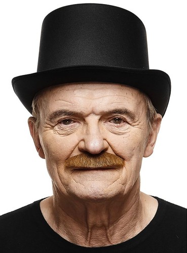 Schnauzer hochwertiger - schnauzer,