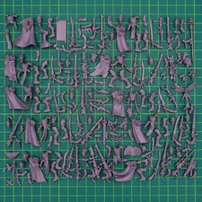 Sternwunden Korsaren Corsair