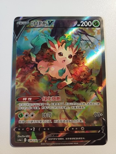 Pokemon karte folipurba - pokemon,
