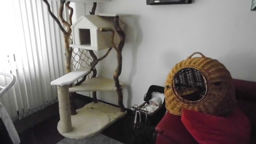 Katzenbaum xxl und - , zubehör