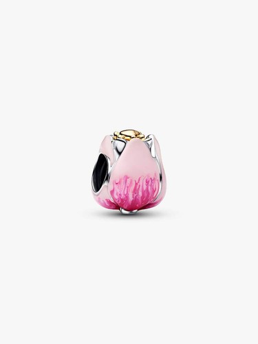 Pandora charm anhänger bead - charm,