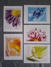 5 Karten/ Bilder 13x18 Ikea