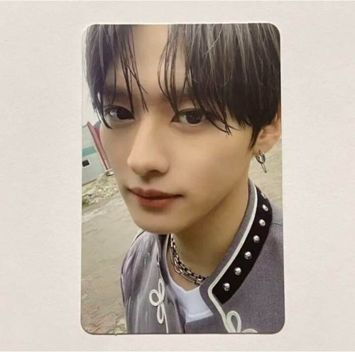 Stray kids lee - in, life