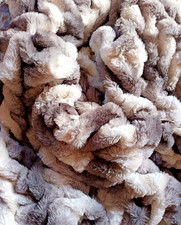 Alfredo Pauly Premium