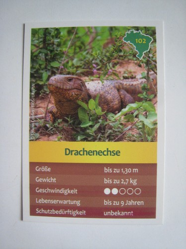 Entdecke brasilien - brasilien,