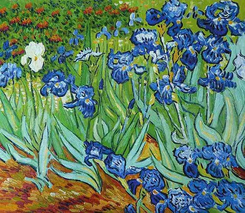 Van gogh irises - irises,