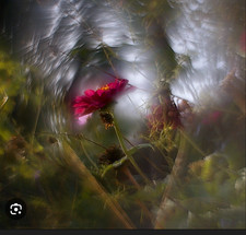 helios 44m (fast wie