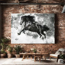 Leinwand Bild Pferd Wandbilder