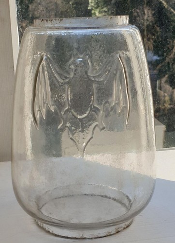 Fledermaus stübgen erfurt - fledermaus,