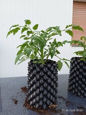 6 X Superroot Air Root Pot 9,5l + 12 Ersatzschrauben Grow Blumentopf Pflanzsack