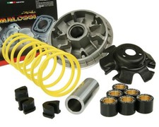 Variomatik MALOSSI Multivar 2000 Neu