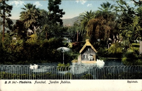 Funchal insel madeira - funchal,