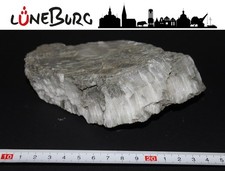 Gipskristall aus Lüneburg /