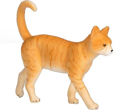 Katze ingwer haustier - ingwer,