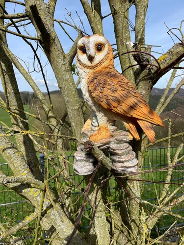 Schleiereule deko vogel garten - deko,