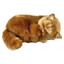 Perfect Petzzz 92639