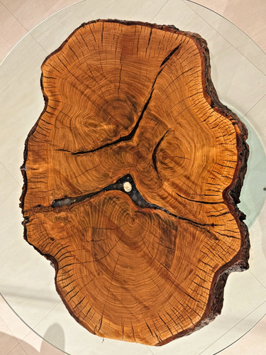 Baumscheibe holzscheibe - baumscheibe,