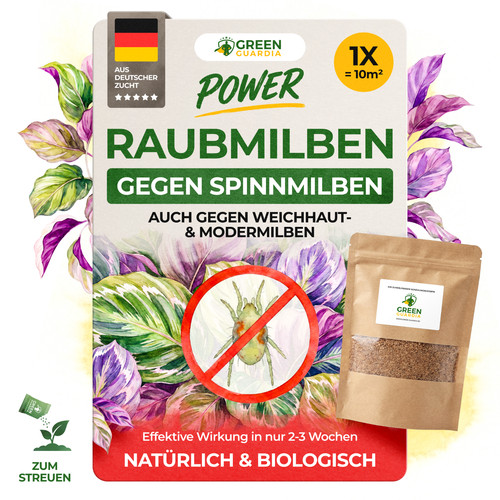Power raubmilben gegen - raubmilben,