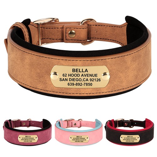 Personalisiert hundehalsband - personalisiert,