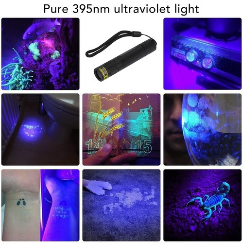 Led taschenlampe - uv-led-taschenlampe, (365
