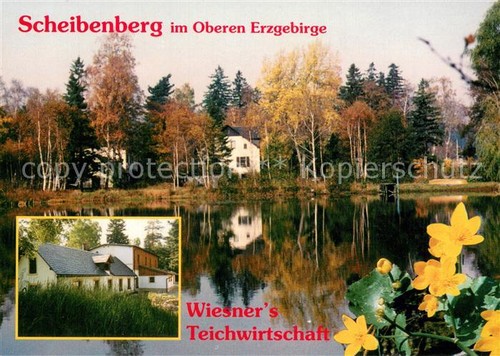 Scheibenberg wiesners - scheibenberg,