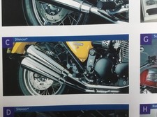 Triumph Thunderbird Sport Auspufftöpfe NFRU