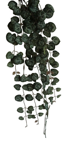 Begonienblatt hänger 55cm - begonienblatt,