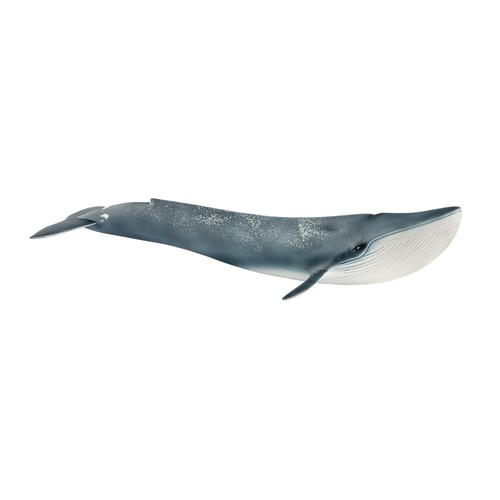 Schleich 14806 blauwal - -,