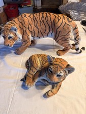 Country Artists Tiger mit