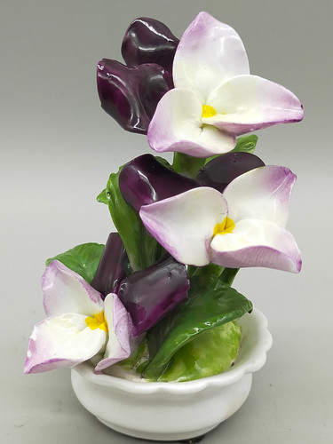 Edle radnor porzellan blumen - edle,