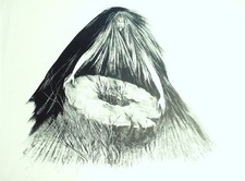 Lithografie handsigniert - lithografie,